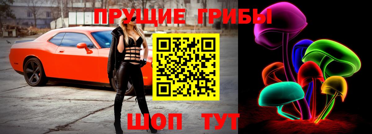 Галлюциногенные грибы мицелий Гусиноозёрск