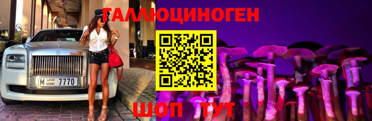 Галлюциногенные грибы Cubensis  Вход с VPN  где найти наркотики  Гусиноозёрск 