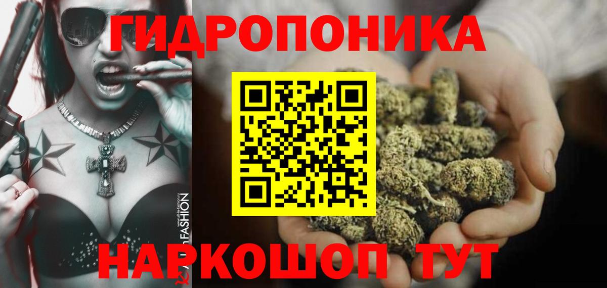 Марихуана Ganja  Каннабис индика  Канабис план  Вход с VPN  Гусиноозёрск 